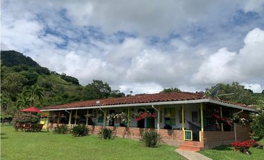 VENTA FINCA VALPARAISO, SUROESTE ANTIOQUEÑO