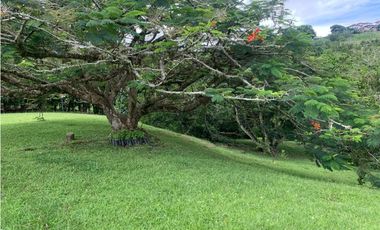 VENTA FINCA VALPARAISO, SUROESTE ANTIOQUEÑO