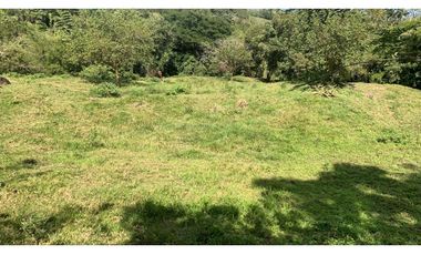 VENTA FINCA VALPARAISO, SUROESTE ANTIOQUEÑO