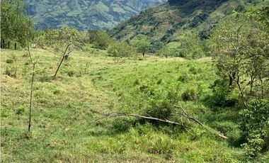 VENTA FINCA VALPARAISO, SUROESTE ANTIOQUEÑO