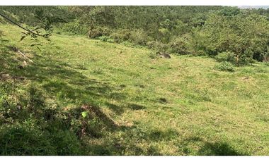 VENTA FINCA VALPARAISO, SUROESTE ANTIOQUEÑO