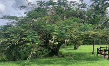 VENTA FINCA VALPARAISO, SUROESTE ANTIOQUEÑO