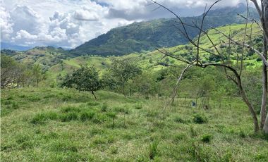 VENTA FINCA VALPARAISO, SUROESTE ANTIOQUEÑO