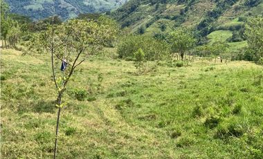 VENTA FINCA VALPARAISO, SUROESTE ANTIOQUEÑO