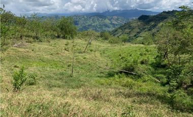 VENTA FINCA VALPARAISO, SUROESTE ANTIOQUEÑO