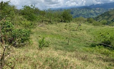 VENTA FINCA VALPARAISO, SUROESTE ANTIOQUEÑO