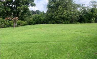 VENTA FINCA VALPARAISO, SUROESTE ANTIOQUEÑO