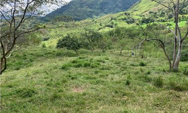VENTA FINCA VALPARAISO, SUROESTE ANTIOQUEÑO