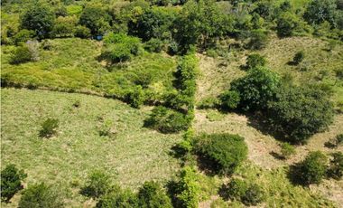 VENTA DE LOTE LA PINTADA , SUROESTE ANTIOQUEÑO.