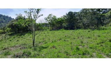 VENTA DE LOTE LA PINTADA , SUROESTE ANTIOQUEÑO.