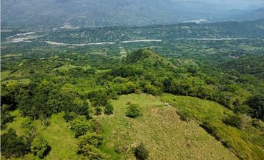 VENTA DE LOTE LA PINTADA , SUROESTE ANTIOQUEÑO.
