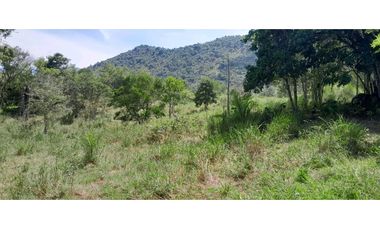 VENTA DE LOTE LA PINTADA , SUROESTE ANTIOQUEÑO.