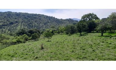 VENTA DE LOTE LA PINTADA , SUROESTE ANTIOQUEÑO.