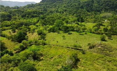 VENTA DE LOTE LA PINTADA , SUROESTE ANTIOQUEÑO.