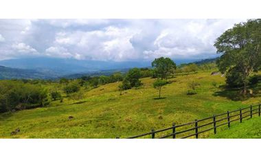 VENTA FINCA TAMESIS, SUROESTE ANTIOQUEÑO