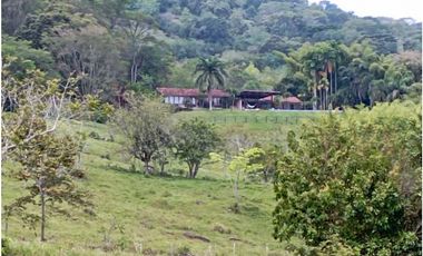 VENTA FINCA TAMESIS, SUROESTE ANTIOQUEÑO