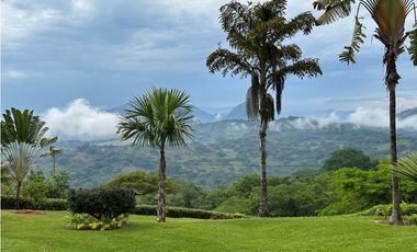 VENTA FINCA TMESIS, SUROESTE ANTIOQUEÑO