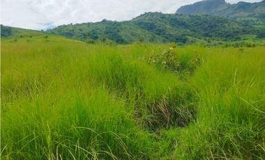 VENTA FINCA GANADERA CONCORDIA, SUROESTE ANTIOQUEÑO