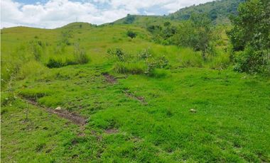 VENTA FINCA GANADERA CONCORDIA, SUROESTE ANTIOQUEÑO