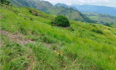 VENTA FINCA GANADERA CONCORDIA, SUROESTE ANTIOQUEÑO