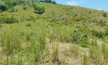 VENTA FINCA GANADERA CONCORDIA, SUROESTE ANTIOQUEÑO