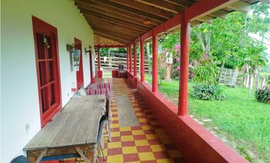 VENTA FINCA GANADERA CONCORDIA, SUROESTE ANTIOQUEÑO