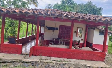 VENTA FINCA GANADERA CONCORDIA, SUROESTE ANTIOQUEÑO