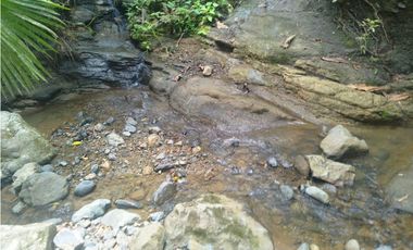 VENTA FINCA GANADERA CONCORDIA, SUROESTE ANTIOQUEÑO