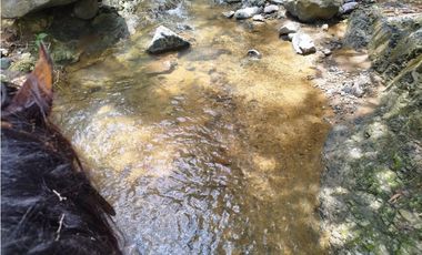 VENTA FINCA GANADERA CONCORDIA, SUROESTE ANTIOQUEÑO