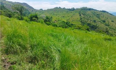 VENTA FINCA GANADERA CONCORDIA, SUROESTE ANTIOQUEÑO