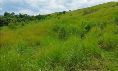 VENTA FINCA GANADERA CONCORDIA, SUROESTE ANTIOQUEÑO