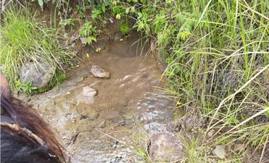 VENTA FINCA GANADERA CONCORDIA, SUROESTE ANTIOQUEÑO