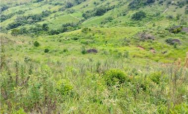 VENTA FINCA GANADERA CONCORDIA, SUROESTE ANTIOQUEÑO