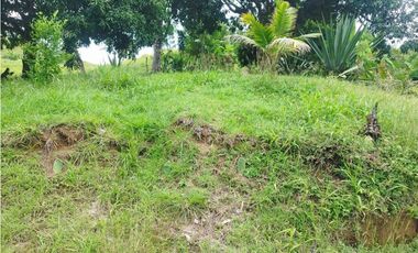 VENTA FINCA GANADERA CONCORDIA, SUROESTE ANTIOQUEÑO