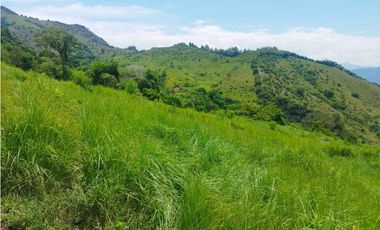 VENTA FINCA GANADERA CONCORDIA, SUROESTE ANTIOQUEÑO