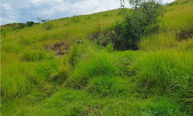 VENTA FINCA GANADERA CONCORDIA, SUROESTE ANTIOQUEÑO