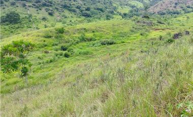 VENTA FINCA GANADERA CONCORDIA, SUROESTE ANTIOQUEÑO