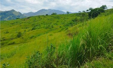 VENTA FINCA GANADERA CONCORDIA, SUROESTE ANTIOQUEÑO
