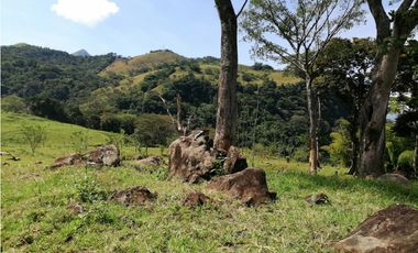 VENTA LOTE VENECIA , SUROESTE ANTIOQUEÑO.