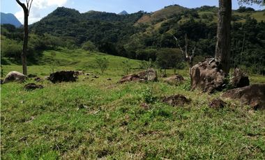 VENTA LOTE VENECIA , SUROESTE ANTIOQUEÑO.