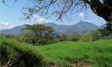VENTA LOTE VENECIA , SUROESTE ANTIOQUEÑO.