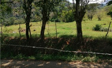 VENTA LOTE VENECIA , SUROESTE ANTIOQUEÑO.