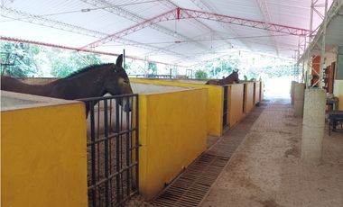 VENTA DE FINCA EN VENECIA SUROESTE ANTIOQUEÑO