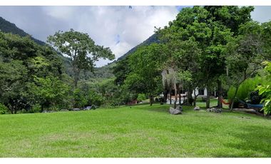 VENTA DE FINCA EN VENECIA SUROESTE ANTIOQUEÑO