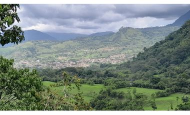 VENTA DE FINCA EN VENECIA SUROESTE ANTIOQUEÑO
