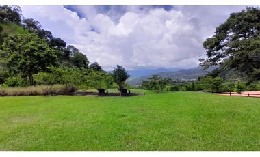 VENTA DE FINCA EN VENECIA SUROESTE ANTIOQUEÑO