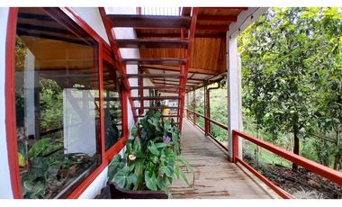VENTA DE FINCA EN VENECIA SUROESTE ANTIOQUEÑO
