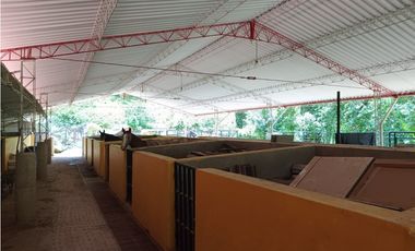 VENTA DE FINCA EN VENECIA SUROESTE ANTIOQUEÑO