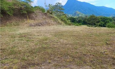 VENTA LOTE VENECIA suroeste antioqueño