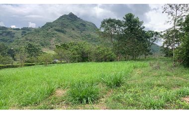 VENTA LOTE, TARSO - SUROESTE ANTIOQUEÑO